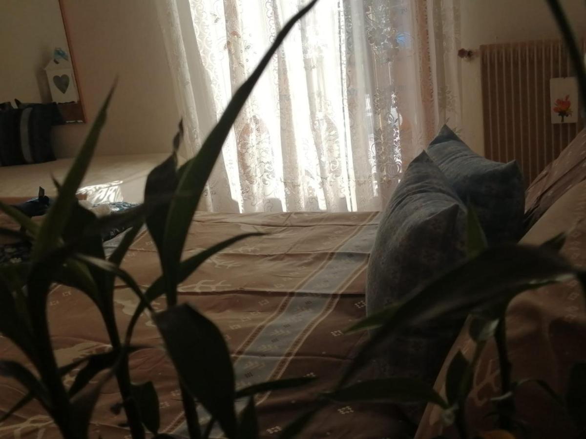 Casa Minela Apartment Falcade Ngoại thất bức ảnh